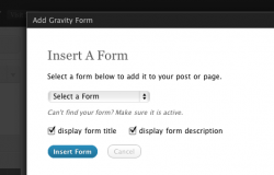 Easily Embed a Form Into Posts & Pages