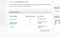 View Entry Summaries from the WordPress Dashboard