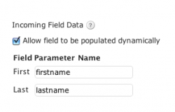 Dynamic Field Population Dynamic Field Population
