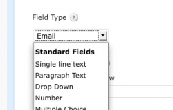 Enhanced Post Custom Fields Enhanced Post Custom Fields