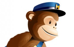 MailChimp Add On for Gravity Forms