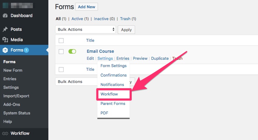 Gravity forms email automation