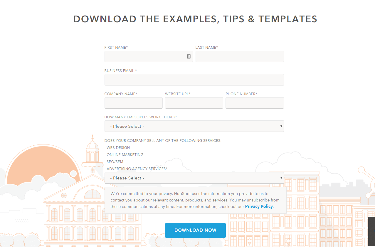 Lead magnet opt-in form