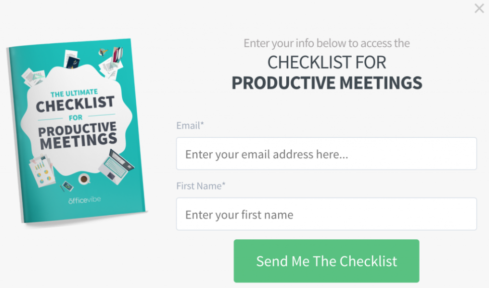 Lead magnet opt-in form