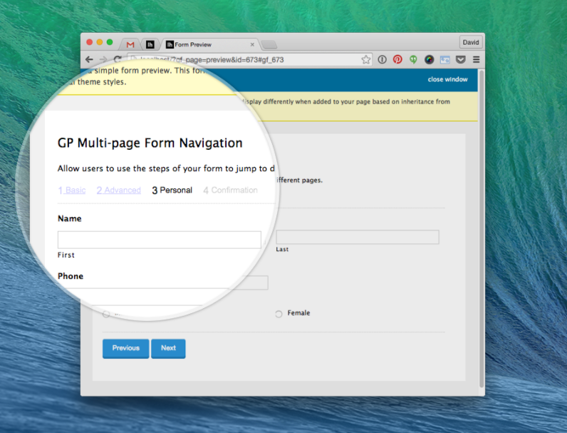 Multi-Page Form