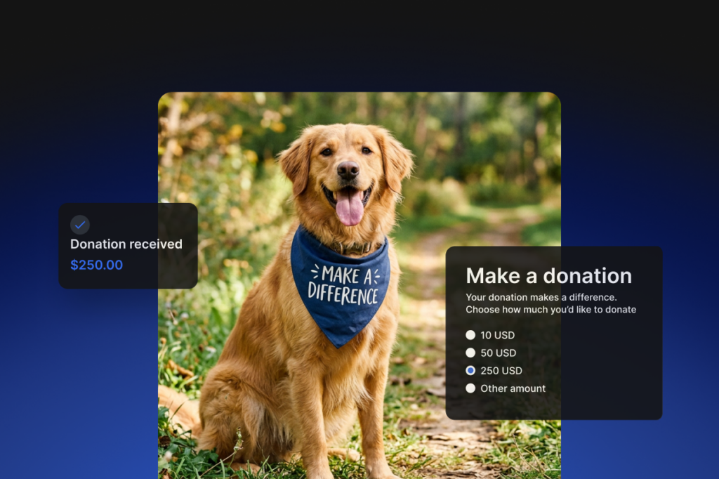 How to create a donation form on WordPress