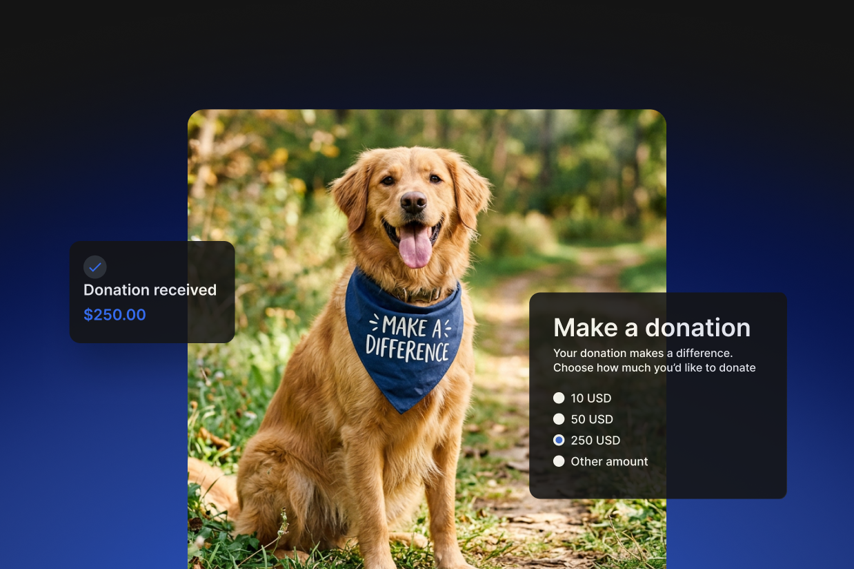 How to create a donation form on WordPress