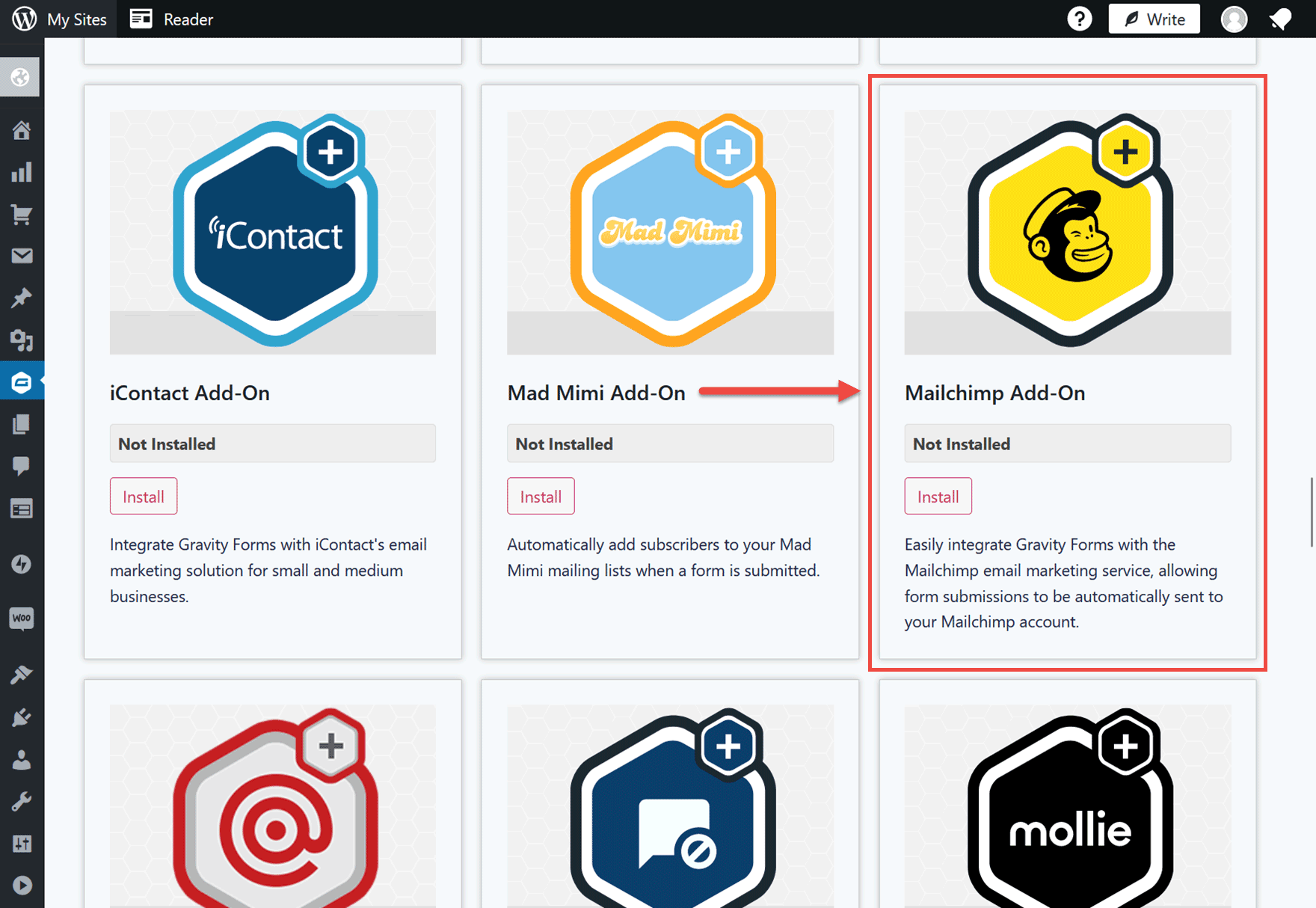 Gravity Forms Mailchimp Add-On