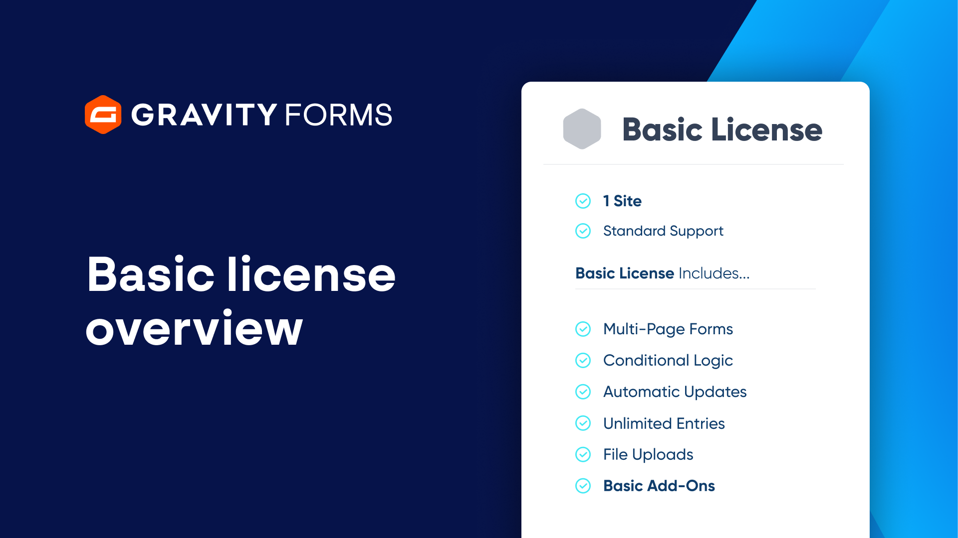 Basic License Overview