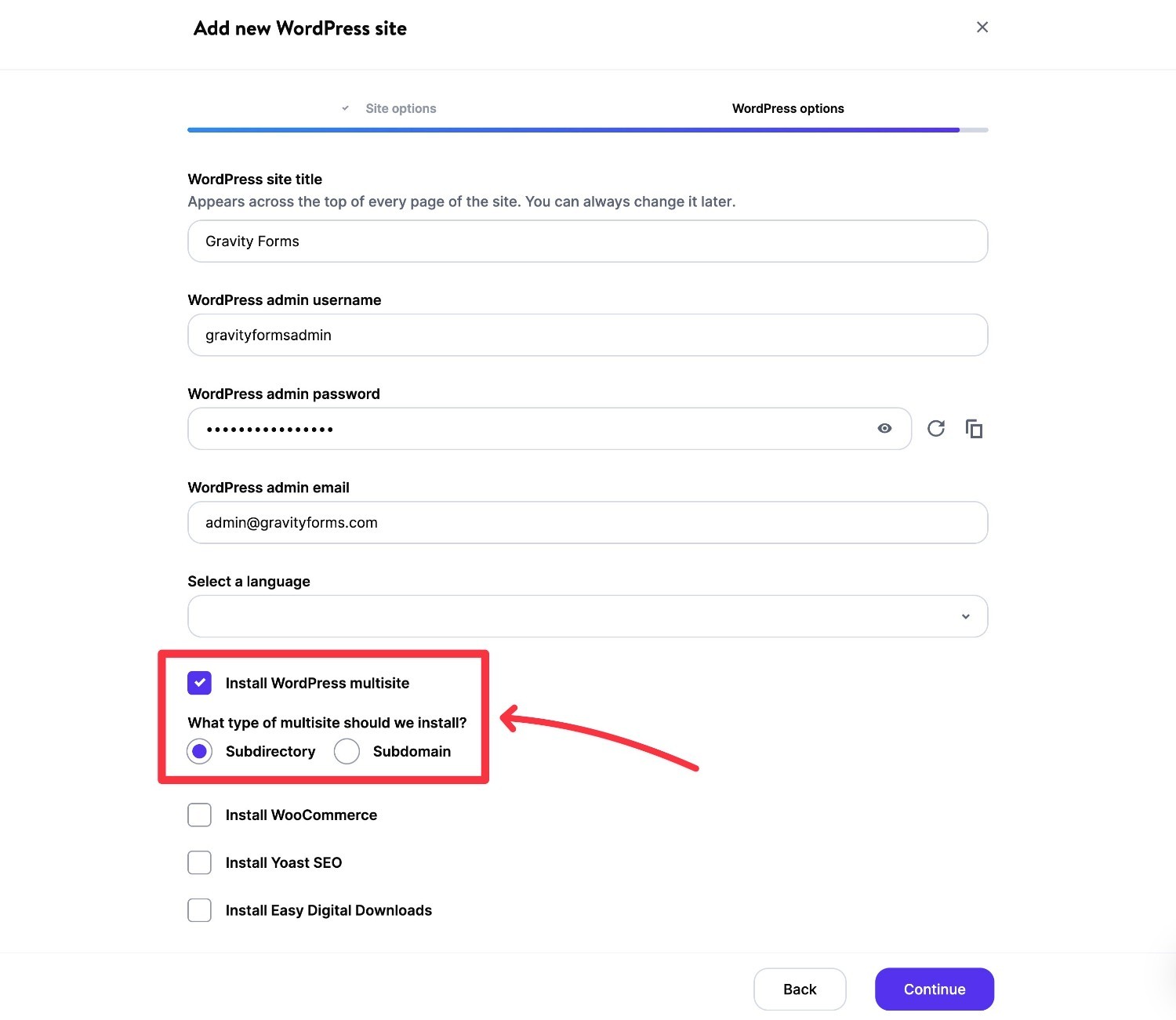 Kinsta WordPress multisite installer