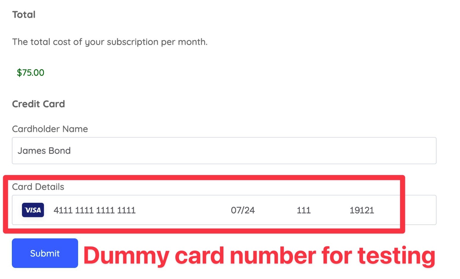 Square Dummy card details