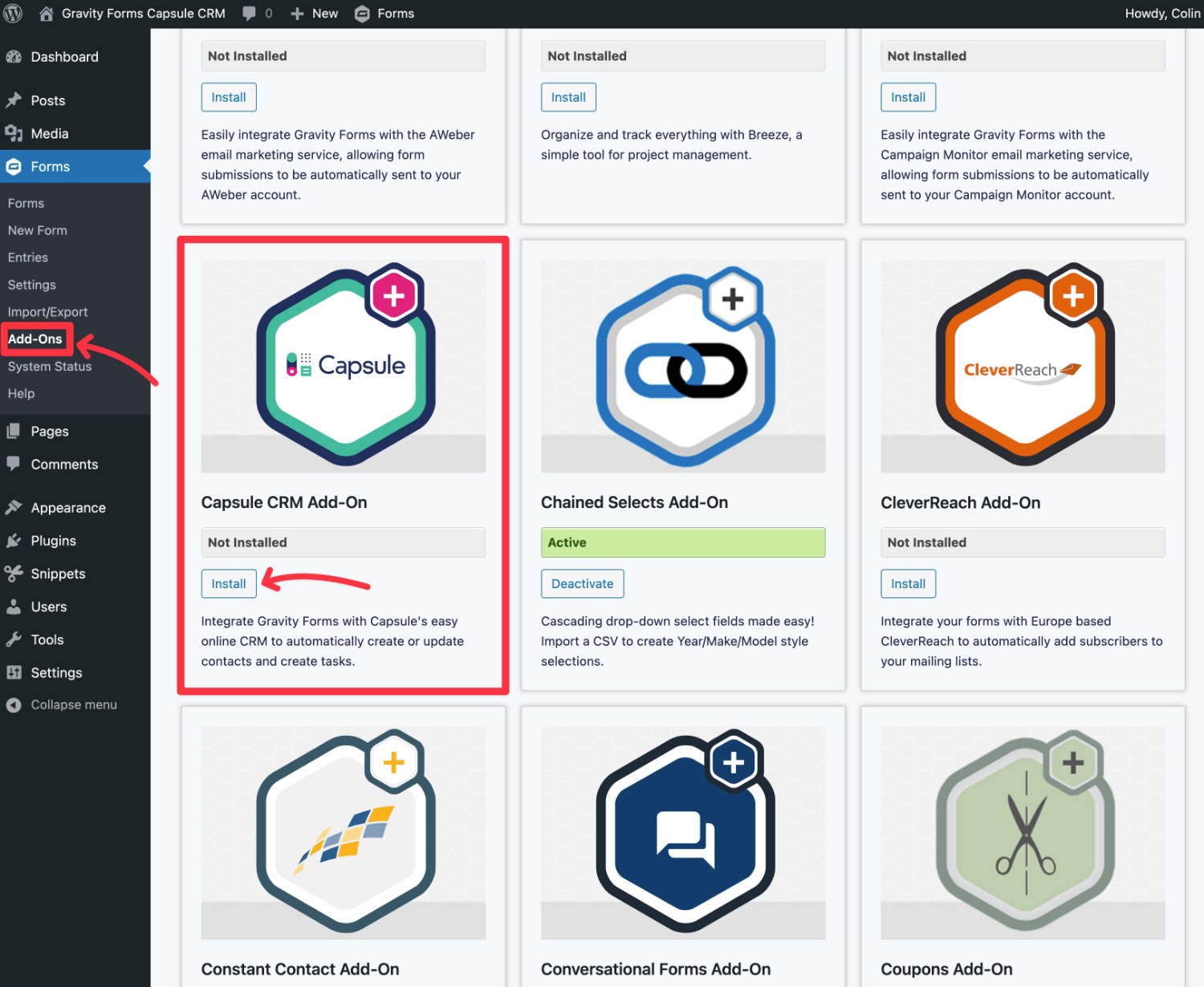 Install Gravity Forms Capsule CRM add-on