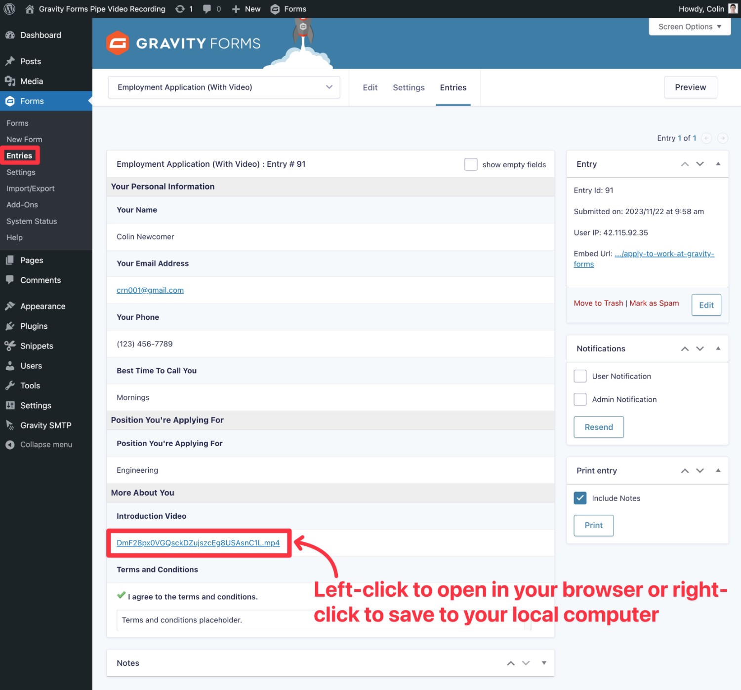 Videos in WordPress dashboard