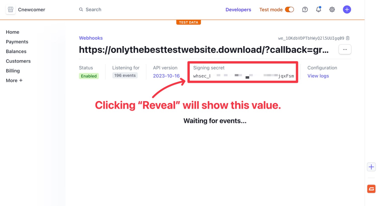 Show Stripe secret key