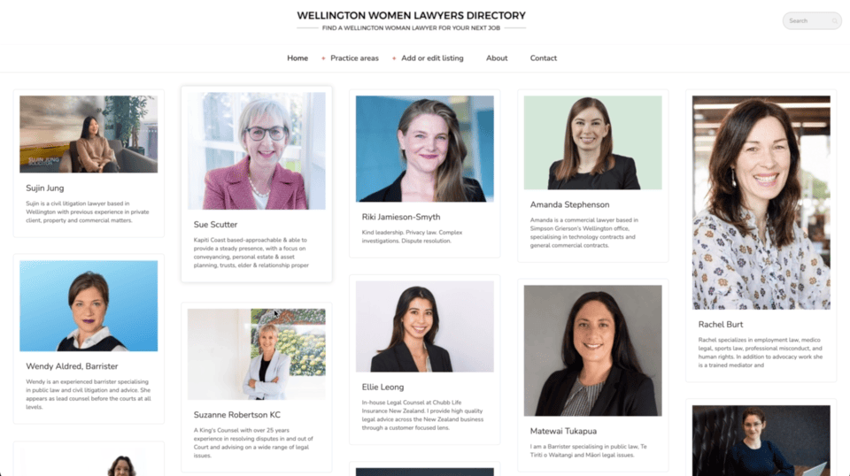 wellington-lawyers-full-view-spotlight