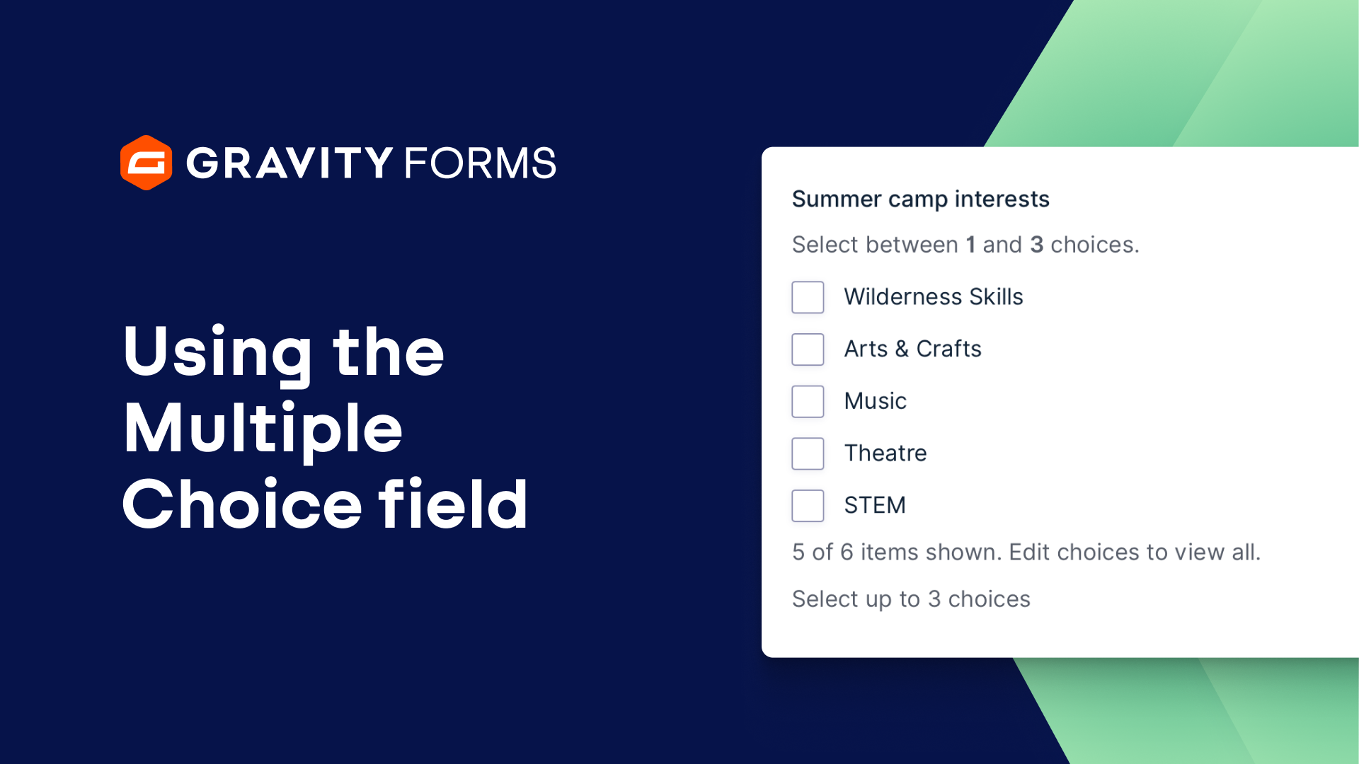 Using the Multiple Choice Field