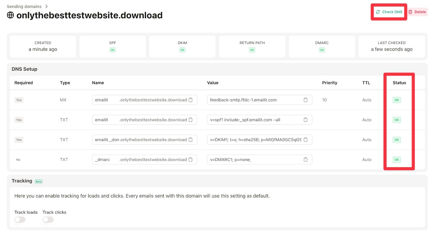 Check DNS records