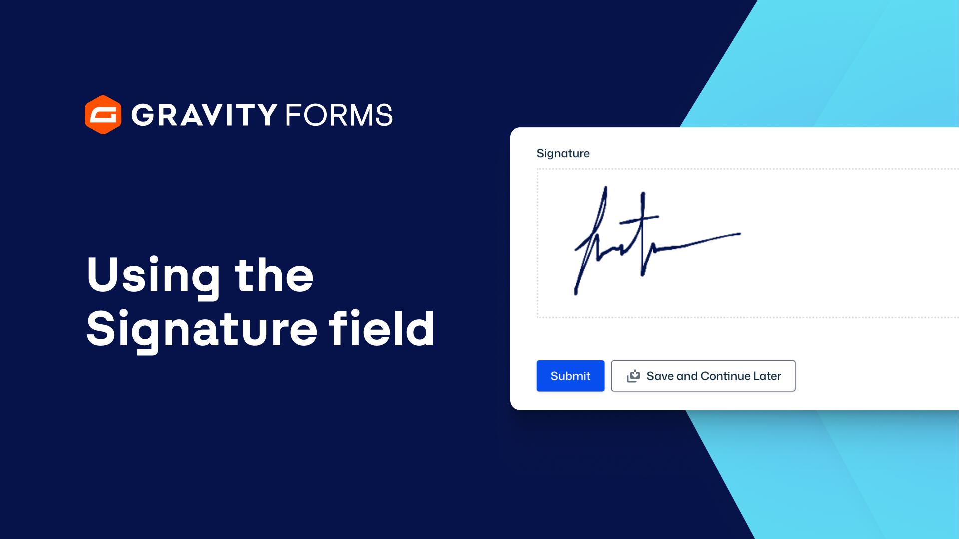 Using the Signature field