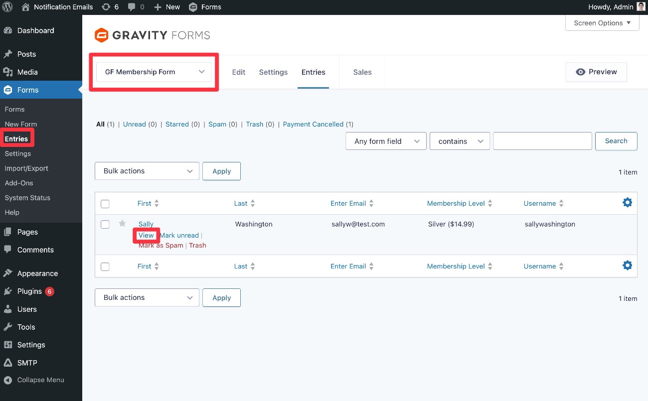 View form entries