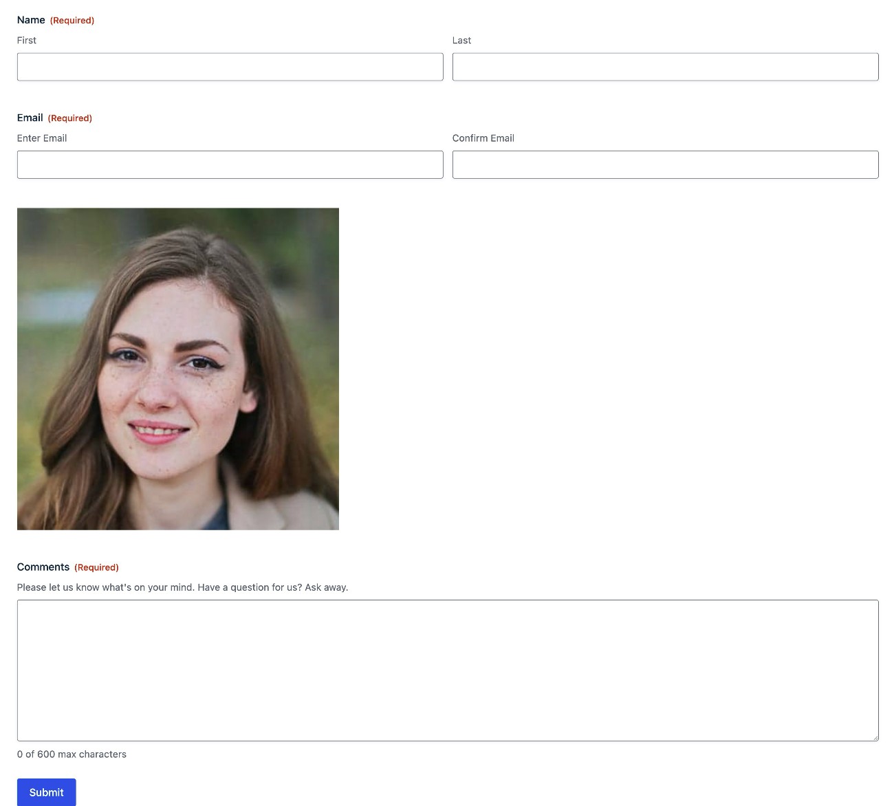 Contoh gambar formulir WordPress mandiri
